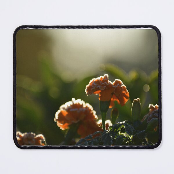 Item preview, Frost on an Merigold flower, the on set of winter designed and sold by FoxGlove5.