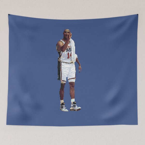 Item preview, Charles Barkley designed and sold by pixelsports2.