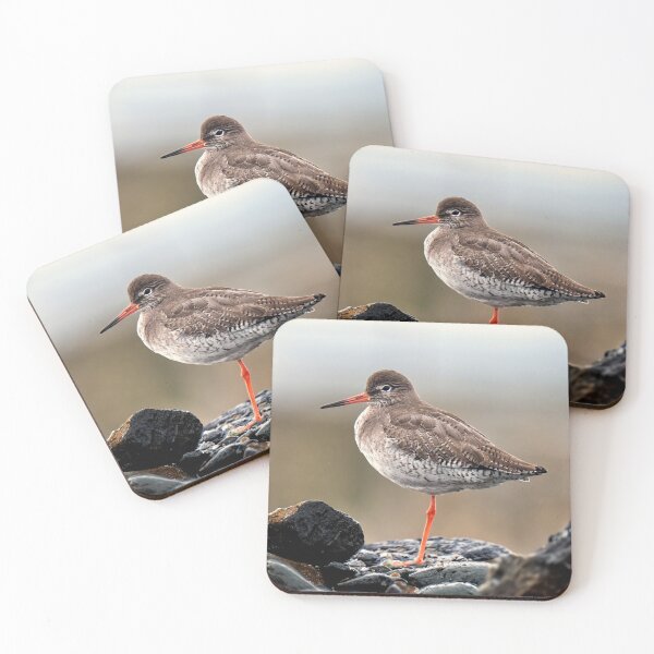 Item preview, The purple sandpiper  designed and sold by Tom McPherson Photography.