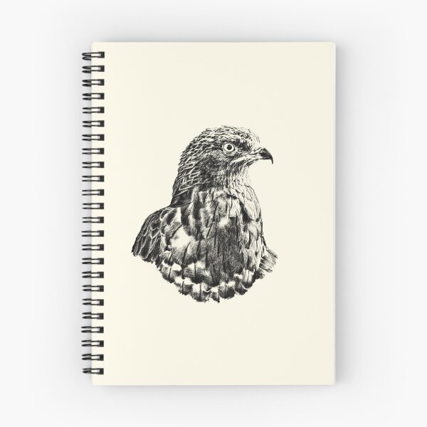 Item preview, Honey buzzard designed and sold by Guardi71.