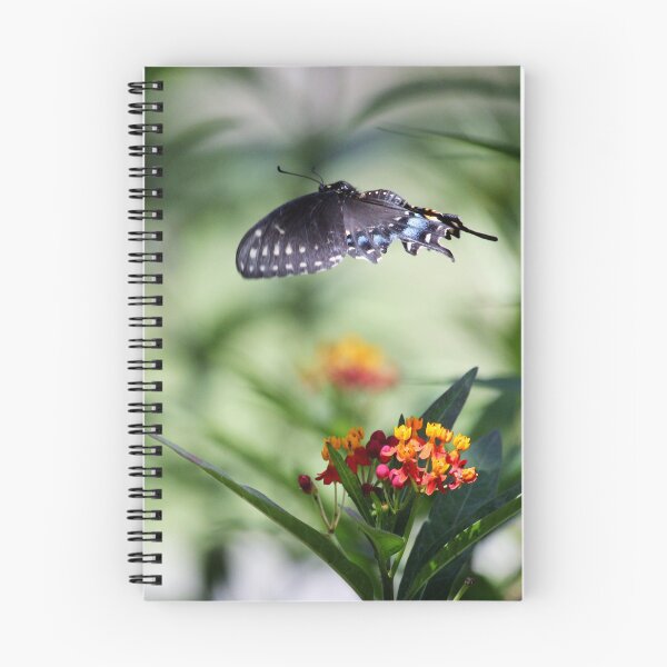 Item preview, Butterfly In Flight designed and sold by Cynthia48.
