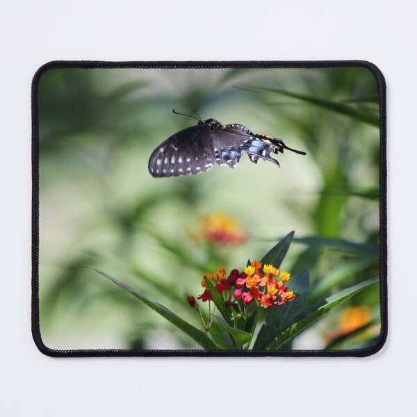 Item preview, Butterfly In Flight designed and sold by Cynthia48.