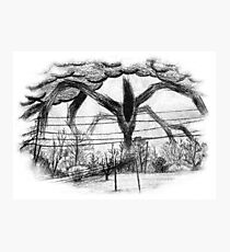 Will Drawing (Stranger Things 2) Photographic Print