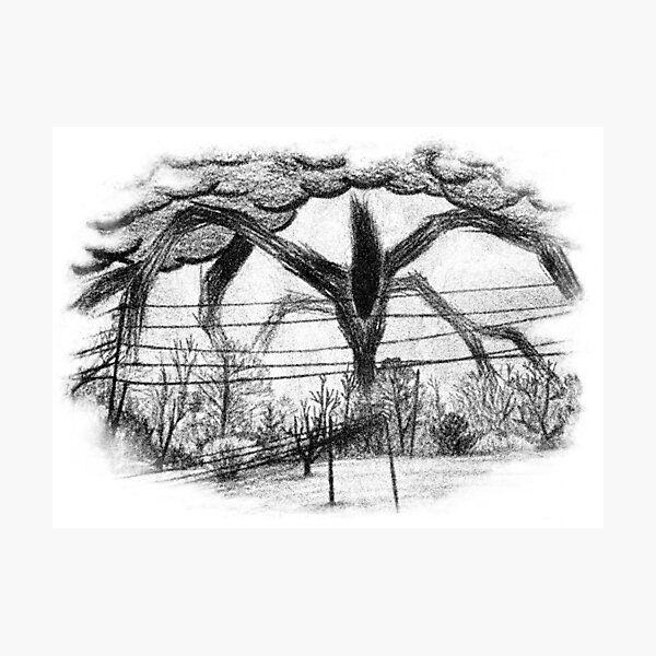 Will Drawing (Stranger Things) Photographic Print