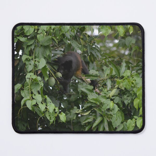 Item preview, Howler Monkey designed and sold by scottlur.