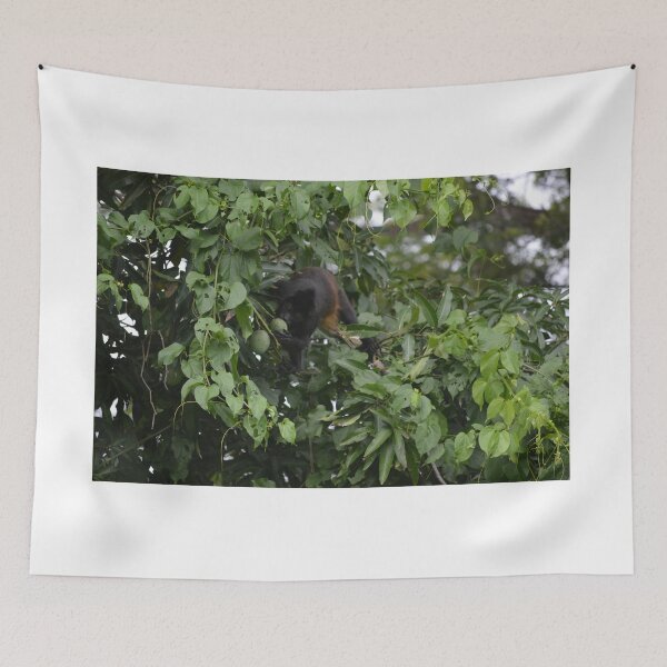 Item preview, Howler Monkey designed and sold by scottlur.