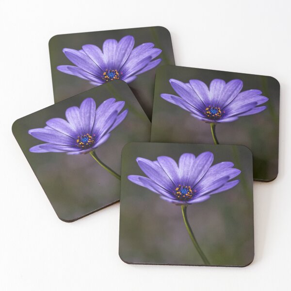 Item preview, The Anemone Macro designed and sold by Tom McPherson Photography.