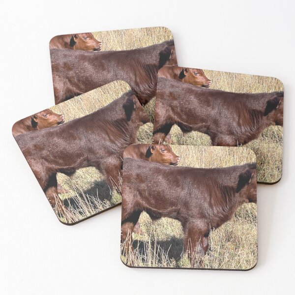 Item preview, Red Poll Calves designed and sold by HelenSpicerArt.