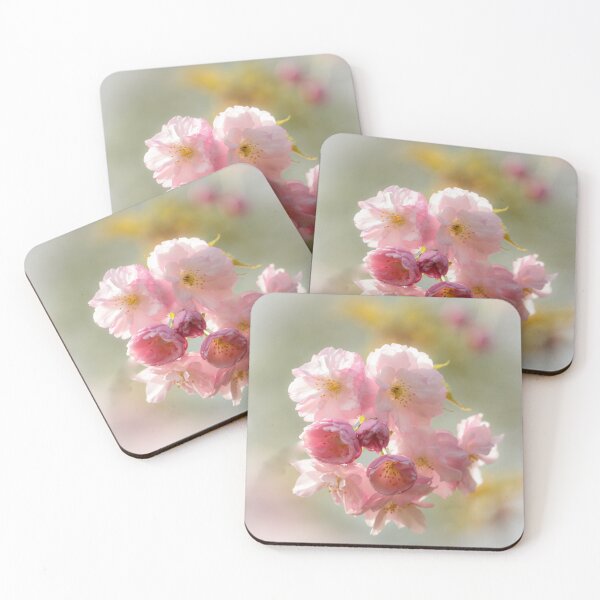 Item preview, Digital photograph sunliit Cherry Blossom Cotswolds Gloucestershire designed and sold by SimonJohnson1.