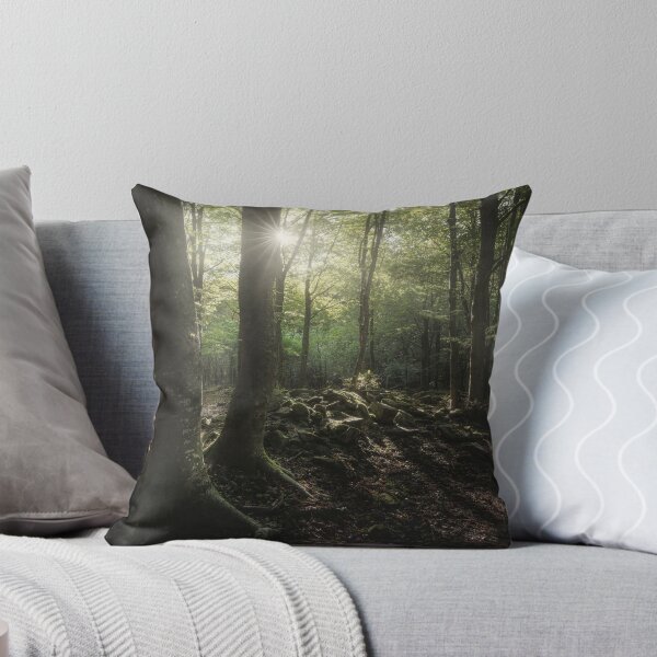 Item preview, Three trees in the forest, Apennines, Italy designed and sold by Stefano Orazzini.