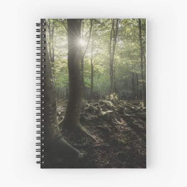 Item preview, Three trees in the forest, Apennines, Italy designed and sold by Stefano Orazzini.