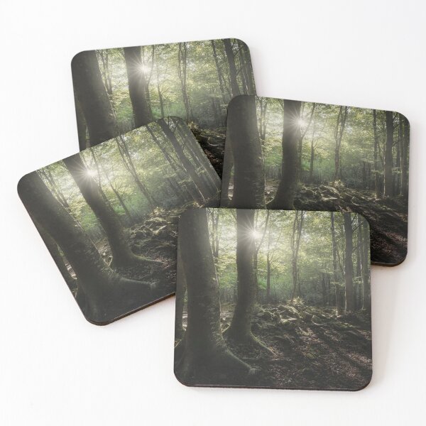 Item preview, Three trees in the forest, Apennines, Italy designed and sold by Stefano Orazzini.