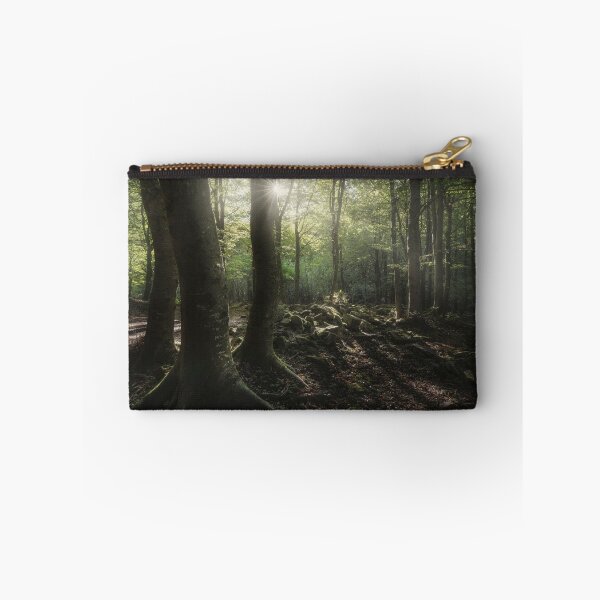 Item preview, Three trees in the forest, Apennines, Italy designed and sold by Stefano Orazzini.