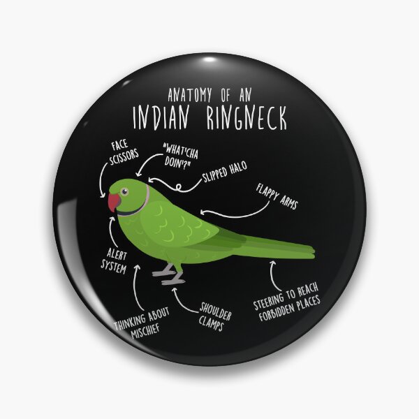 Item preview, Indian Ringneck Parrot Anatomy designed and sold by Clara Hollins.