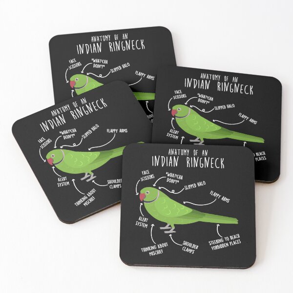 Item preview, Indian Ringneck Parrot Anatomy designed and sold by Clara Hollins.