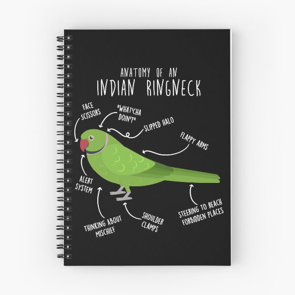 Item preview, Indian Ringneck Parrot Anatomy designed and sold by Clara Hollins.