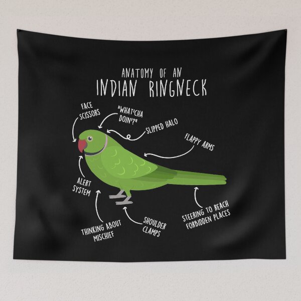 Item preview, Indian Ringneck Parrot Anatomy designed and sold by Clara Hollins.