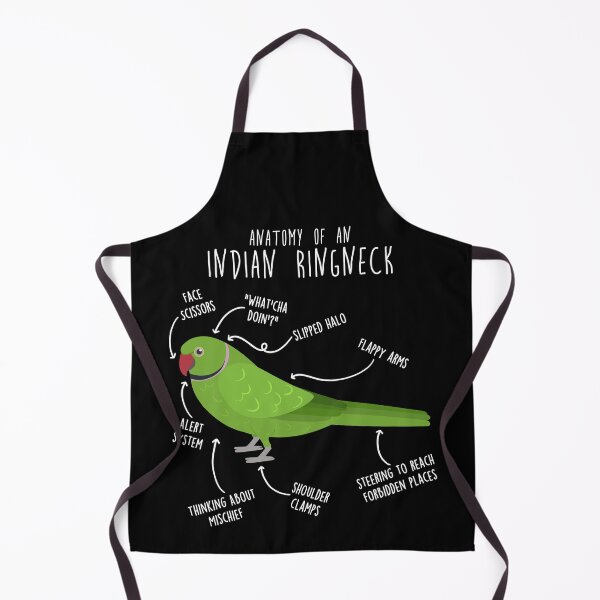 Item preview, Indian Ringneck Parrot Anatomy designed and sold by Clara Hollins.