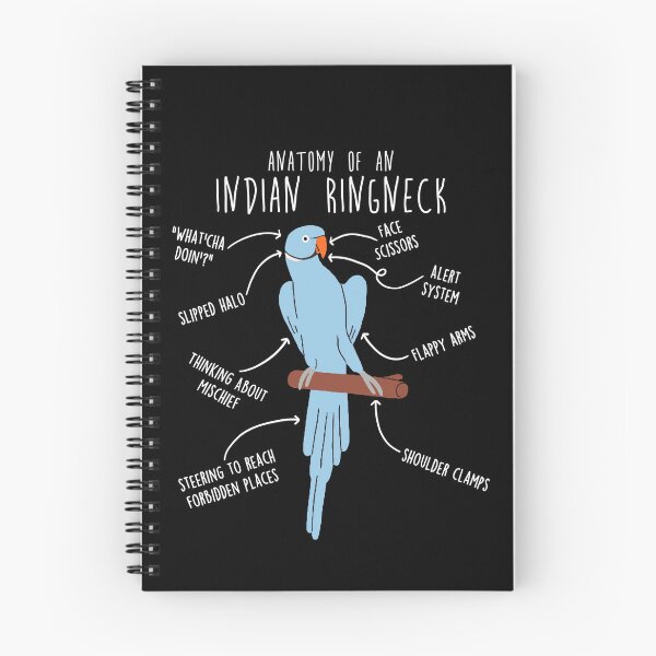 Item preview, Blue Indian Ringneck Parrot Anatomy designed and sold by Clara Hollins.