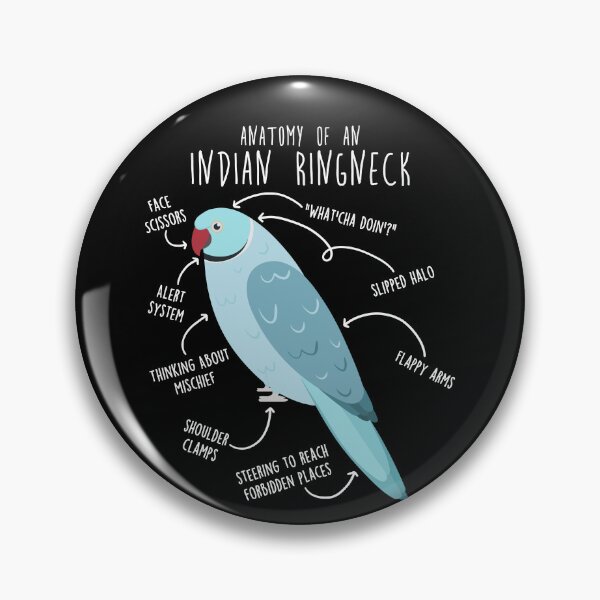 Item preview, Blue Indian Ringneck Parrot Anatomy designed and sold by Clara Hollins.
