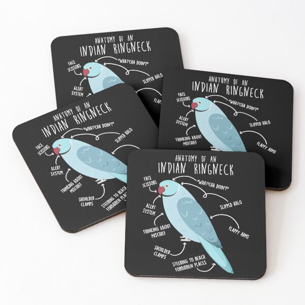 Item preview, Blue Indian Ringneck Parrot Anatomy designed and sold by Clara Hollins.