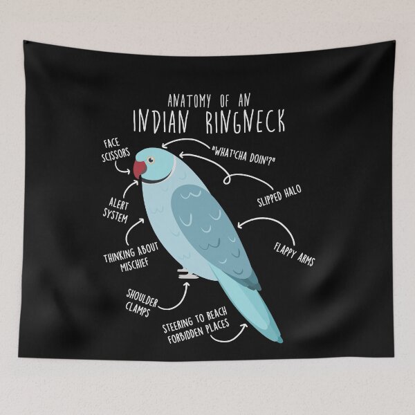 Item preview, Blue Indian Ringneck Parrot Anatomy designed and sold by Clara Hollins.