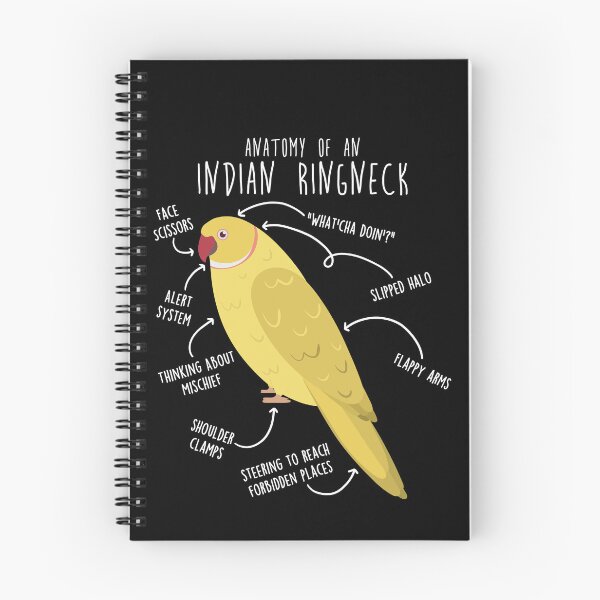 Item preview, Lutino Indian Ringneck Parrot Anatomy designed and sold by Clara Hollins.