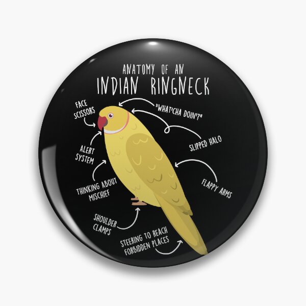 Item preview, Lutino Indian Ringneck Parrot Anatomy designed and sold by Clara Hollins.