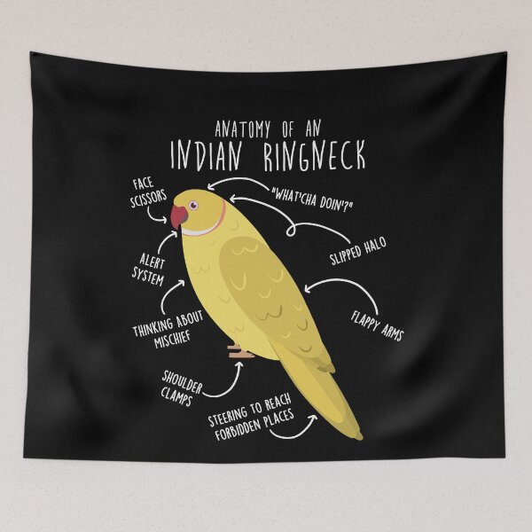 Item preview, Lutino Indian Ringneck Parrot Anatomy designed and sold by Clara Hollins.