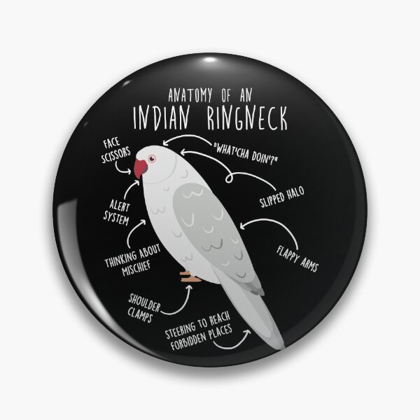 Item preview, White Indian Ringneck Parrot Anatomy designed and sold by Clara Hollins.