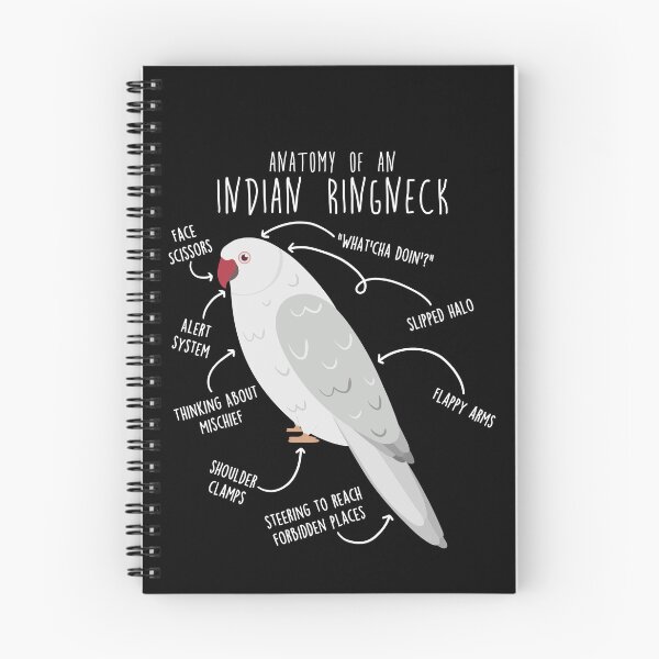 Item preview, White Indian Ringneck Parrot Anatomy designed and sold by Clara Hollins.