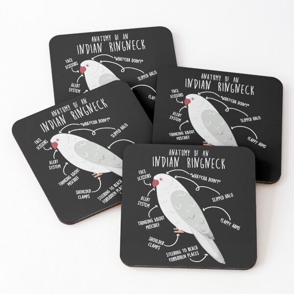 Item preview, White Indian Ringneck Parrot Anatomy designed and sold by Clara Hollins.