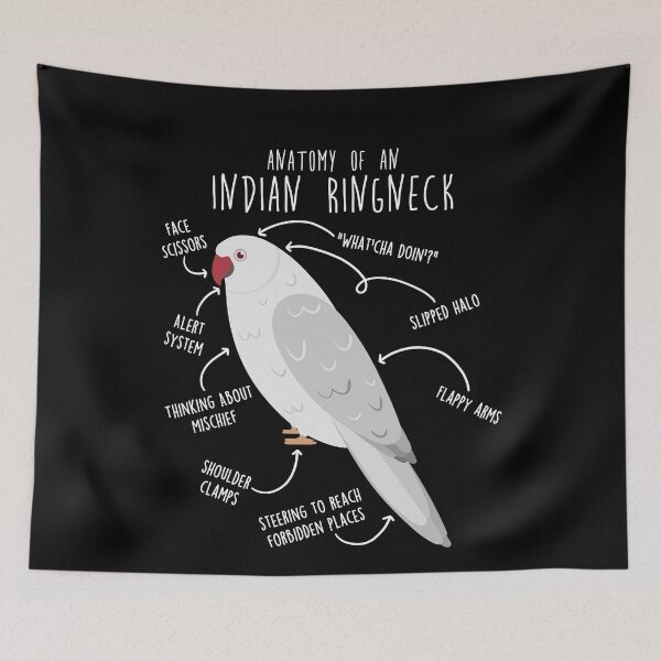 Item preview, White Indian Ringneck Parrot Anatomy designed and sold by Clara Hollins.
