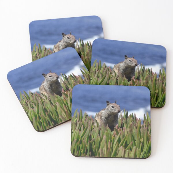 Item preview, Got Nuts? designed and sold by heatherfriedman.