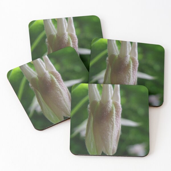 Item preview, A Single Columbine Flower designed and sold by Betty Mackey.