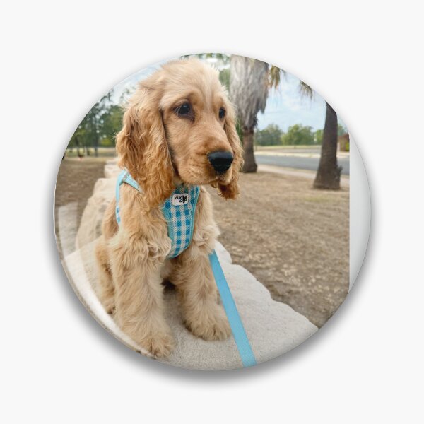 Item preview, Dog sitting on the rock designed and sold by AliciaSanson.