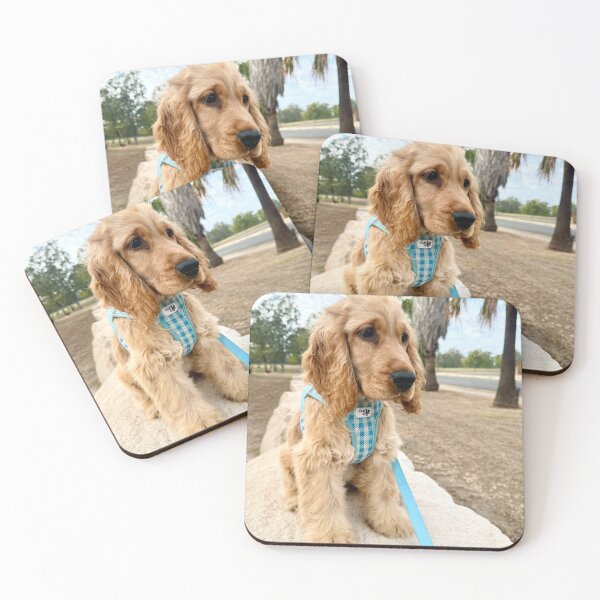 Item preview, Dog sitting on the rock designed and sold by AliciaSanson.