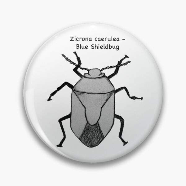 Item preview, Blue Shieldbug - Zicrona caerulea designed and sold by scarpacific.