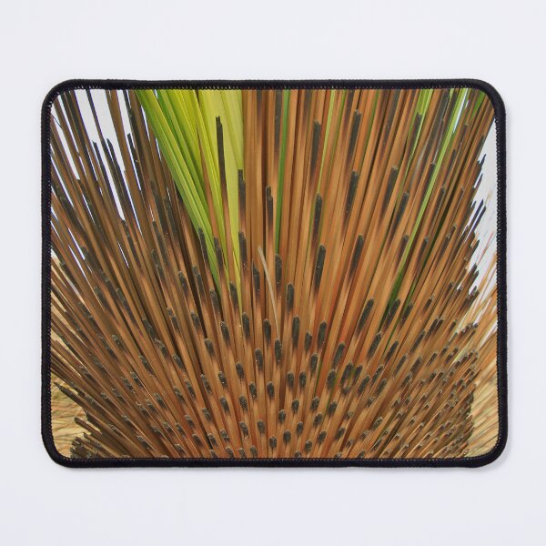 Item preview, After 2020 Kangaroo Island Fire - Burnt Yakka designed and sold by ezcreate.media.