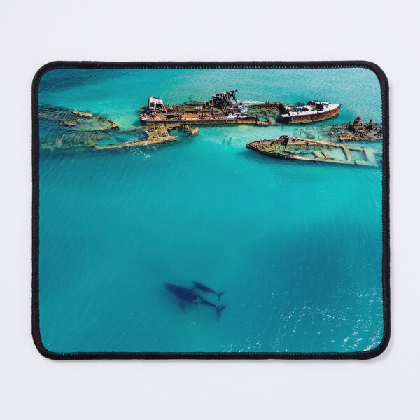 Item preview, Whales at Tangalooma Wrecks designed and sold by slonchak.