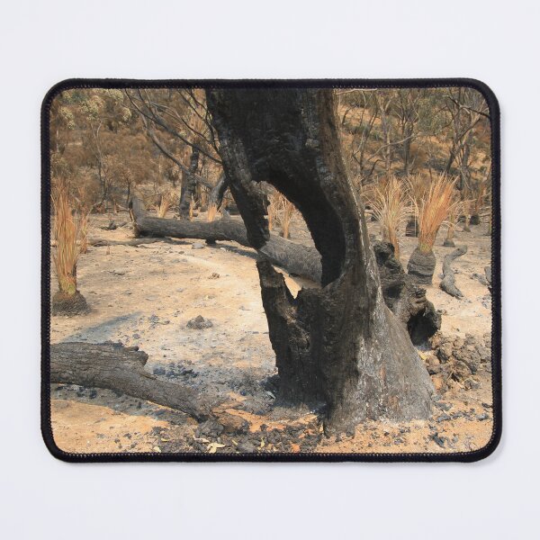Item preview, After 2020 Kangaroo Island Fire - Charred Remains designed and sold by ezcreate.media.