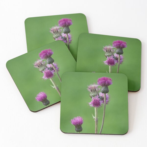 Item preview, Not too melancholy. Melancholy thistle designed and sold by Jouko Lehto Photography.