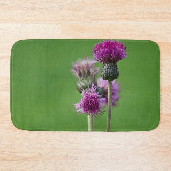 Item preview, Not too melancholy. Melancholy thistle designed and sold by Jouko Lehto Photography.