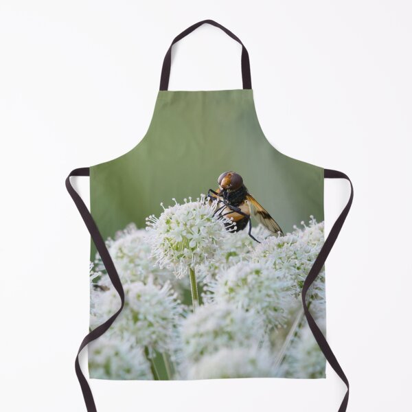 Item preview, Playing the balls. Pellucid fly on wild angelica designed and sold by Jouko Lehto Photography.