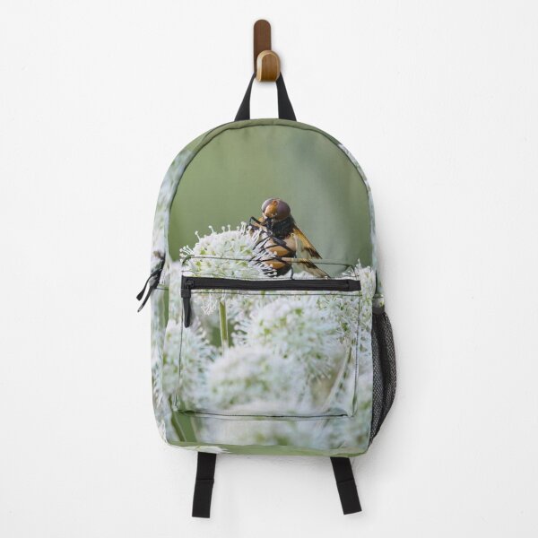 Item preview, Playing the balls. Pellucid fly on wild angelica designed and sold by Jouko Lehto Photography.
