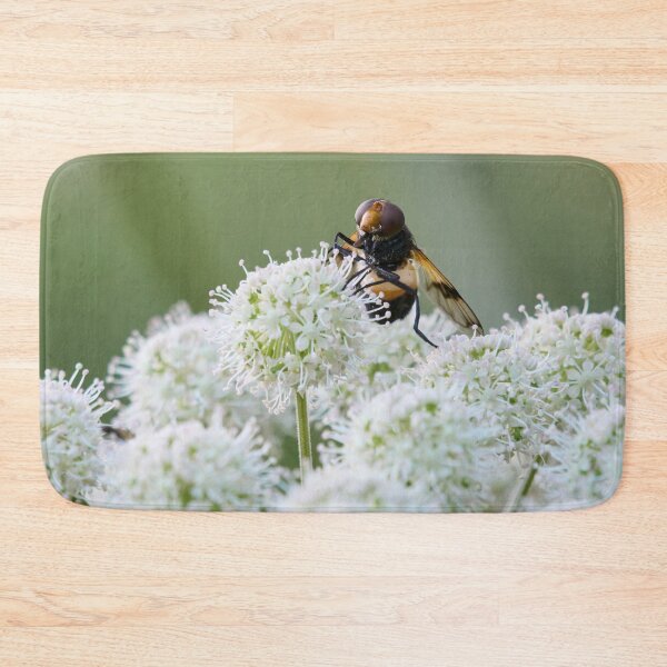 Item preview, Playing the balls. Pellucid fly on wild angelica designed and sold by Jouko Lehto Photography.