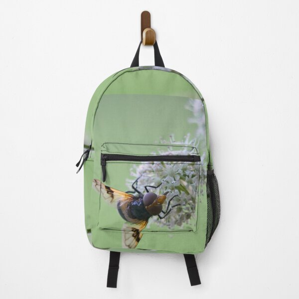 Item preview, Minimalist. Pellucid fly on wild angelica designed and sold by Jouko Lehto Photography.