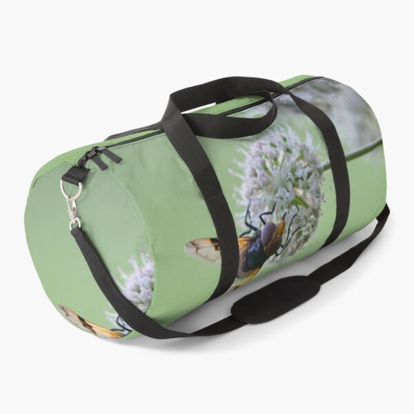 Item preview, Minimalist. Pellucid fly on wild angelica designed and sold by Jouko Lehto Photography.