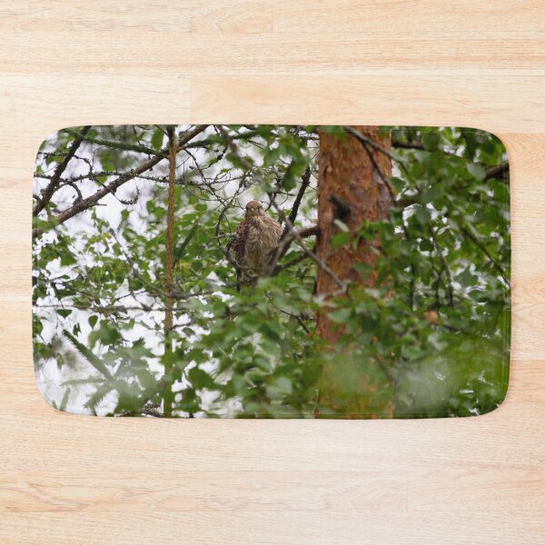 Item preview, The young one. Common kestrel designed and sold by Jouko Lehto Photography.