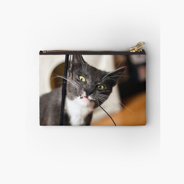 Item preview, Mischievous kitten designed and sold by GreyFeatherPhot.